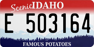 ID license plate E503164