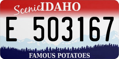 ID license plate E503167