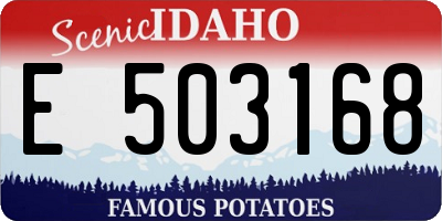 ID license plate E503168