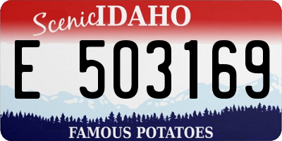 ID license plate E503169
