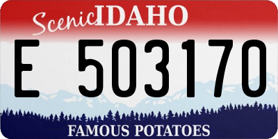 ID license plate E503170
