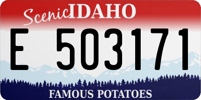 ID license plate E503171