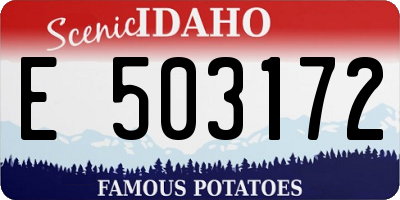 ID license plate E503172