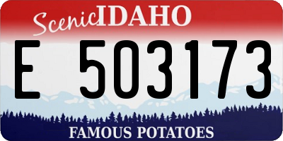 ID license plate E503173