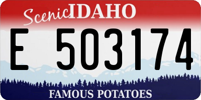 ID license plate E503174