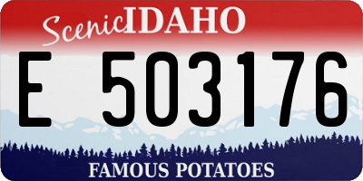 ID license plate E503176