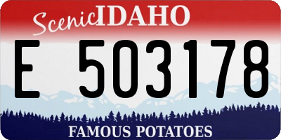 ID license plate E503178