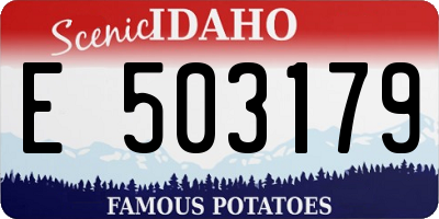 ID license plate E503179