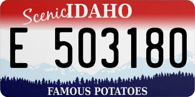 ID license plate E503180