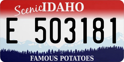 ID license plate E503181