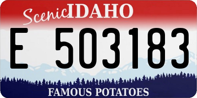 ID license plate E503183