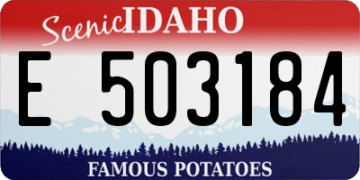 ID license plate E503184