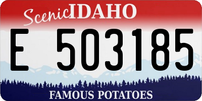 ID license plate E503185