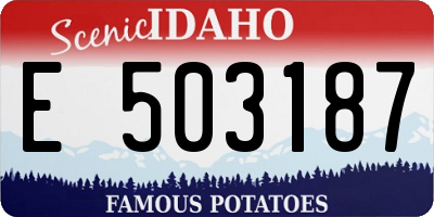 ID license plate E503187