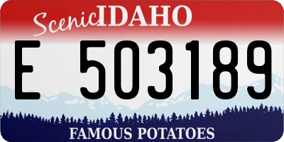 ID license plate E503189