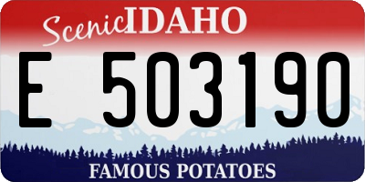 ID license plate E503190