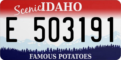 ID license plate E503191