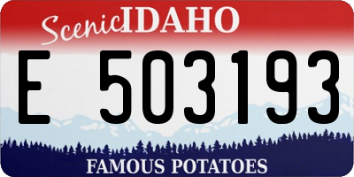 ID license plate E503193