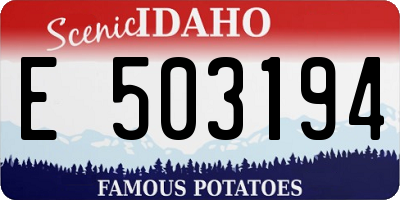ID license plate E503194