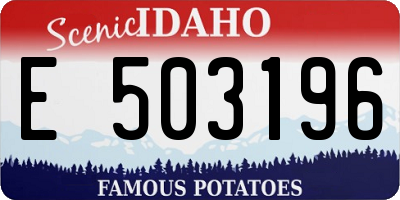 ID license plate E503196