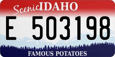 ID license plate E503198
