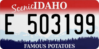 ID license plate E503199