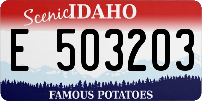 ID license plate E503203
