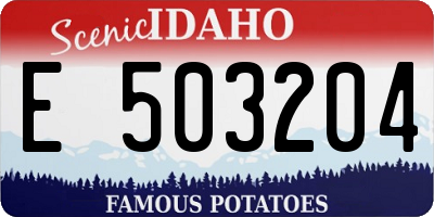 ID license plate E503204