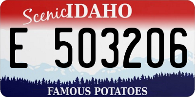 ID license plate E503206