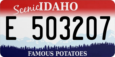 ID license plate E503207