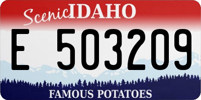 ID license plate E503209