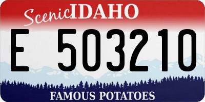 ID license plate E503210