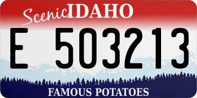 ID license plate E503213