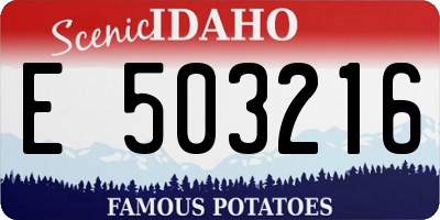 ID license plate E503216