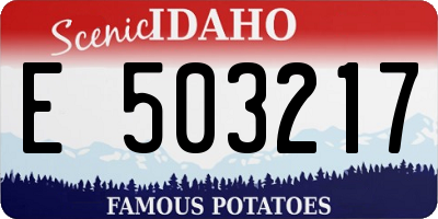 ID license plate E503217