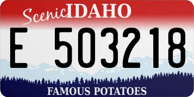 ID license plate E503218