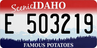 ID license plate E503219