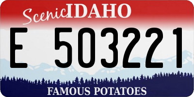ID license plate E503221