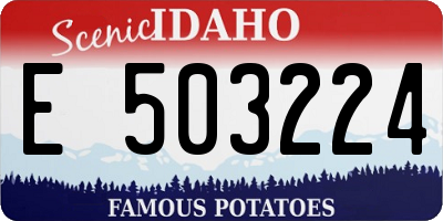 ID license plate E503224