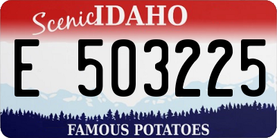 ID license plate E503225