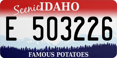 ID license plate E503226