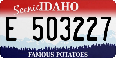 ID license plate E503227