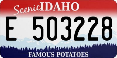 ID license plate E503228