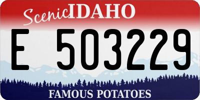 ID license plate E503229