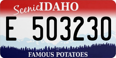 ID license plate E503230