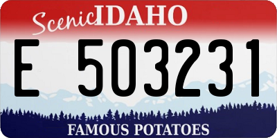 ID license plate E503231