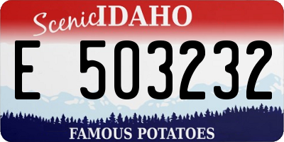 ID license plate E503232