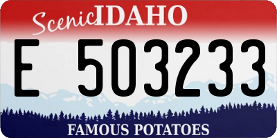 ID license plate E503233
