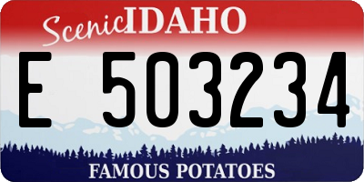 ID license plate E503234