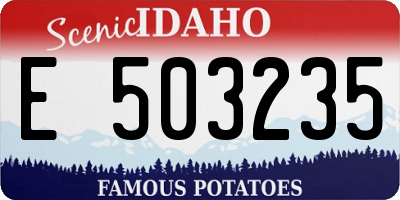 ID license plate E503235